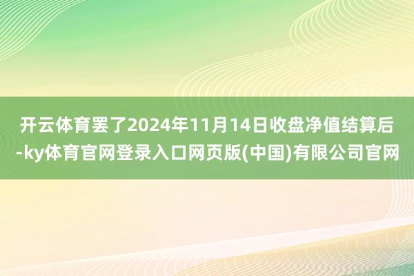 开云体育罢了2024年11月14日收盘净值结算后-ky体育官网登录入口网页版(中国)有限公司官网