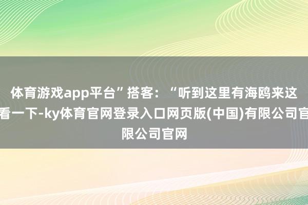 体育游戏app平台”搭客：“听到这里有海鸥来这边看一下-ky体育官网登录入口网页版(中国)有限公司官网