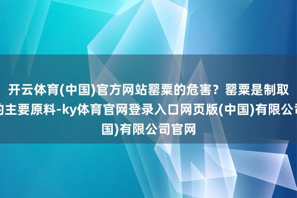开云体育(中国)官方网站罂粟的危害？罂粟是制取烟土的主要原料-ky体育官网登录入口网页版(中国)有限公司官网