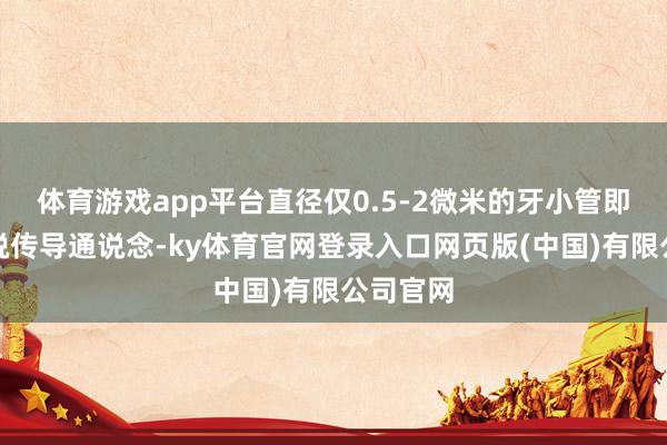 体育游戏app平台直径仅0.5-2微米的牙小管即成为明锐传导通说念-ky体育官网登录入口网页版(中国)有限公司官网