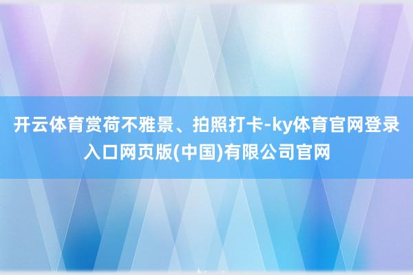 开云体育赏荷不雅景、拍照打卡-ky体育官网登录入口网页版(中国)有限公司官网
