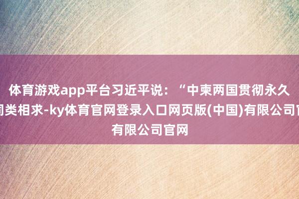 体育游戏app平台习近平说:“中柬两国贯彻永久、同类相求-ky体育官网登录入口网页版(中国)有限公司官网