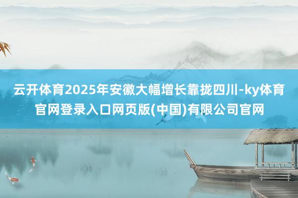 云开体育2025年安徽大幅增长靠拢四川-ky体育官网登录入口网页版(中国)有限公司官网