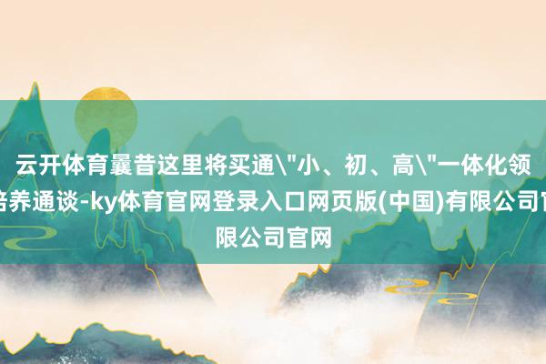 云开体育曩昔这里将买通