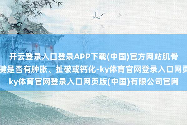 开云登录入口登录APP下载(中国)官方网站肌骨超声都能明晰地闪现肌腱是否有肿胀、扯破或钙化-ky体育官网登录入口网页版(中国)有限公司官网